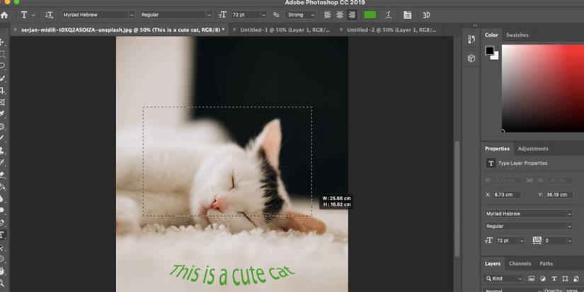How to Add Text to a Photo: 3 Ways