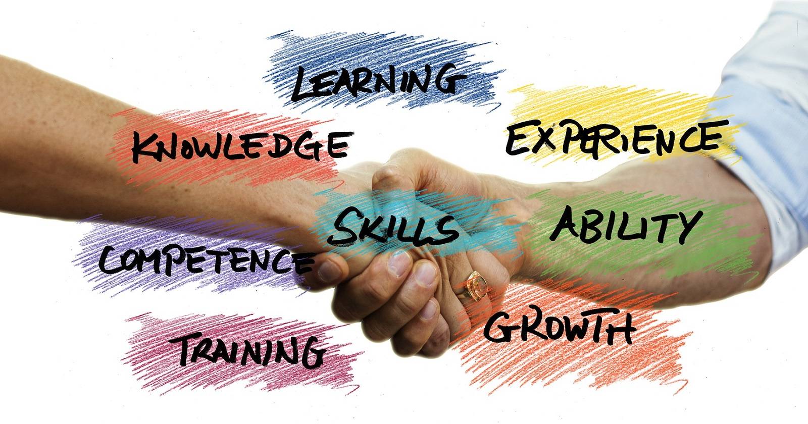 14 Hard and Soft Skills to Include on Your Resume