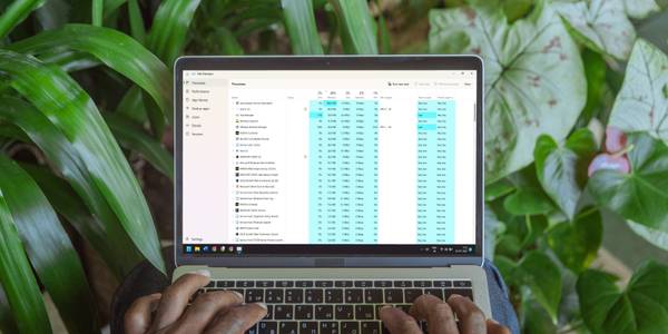 Person tracking the resource usage of different processes in Task Manager.