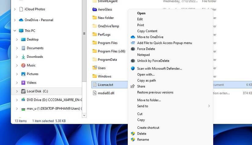 how to force delete files on windows 11