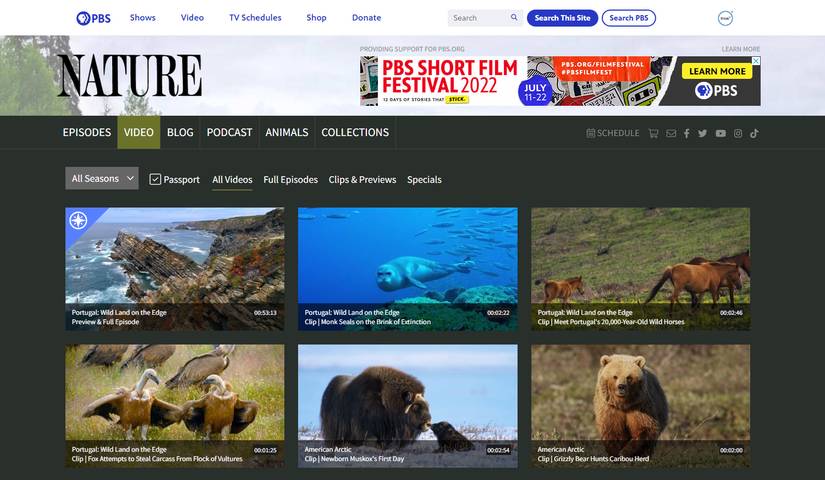 9 Sites That Bring the Natural World to Your Computer or Phone