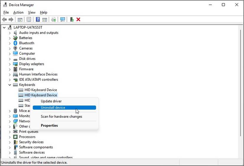 Device Manager uninstall HID Keyboard Device screenshot