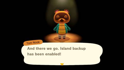Animal Crossing New Horizons how to back up island save data backup enabled