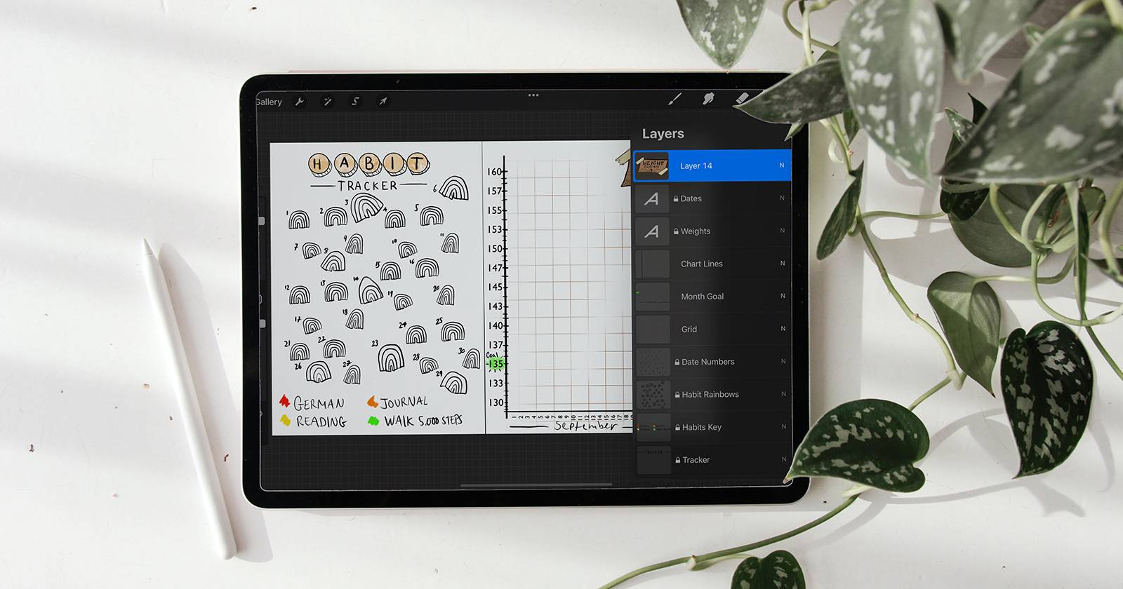 10 Common Procreate Problems and How to Solve Them