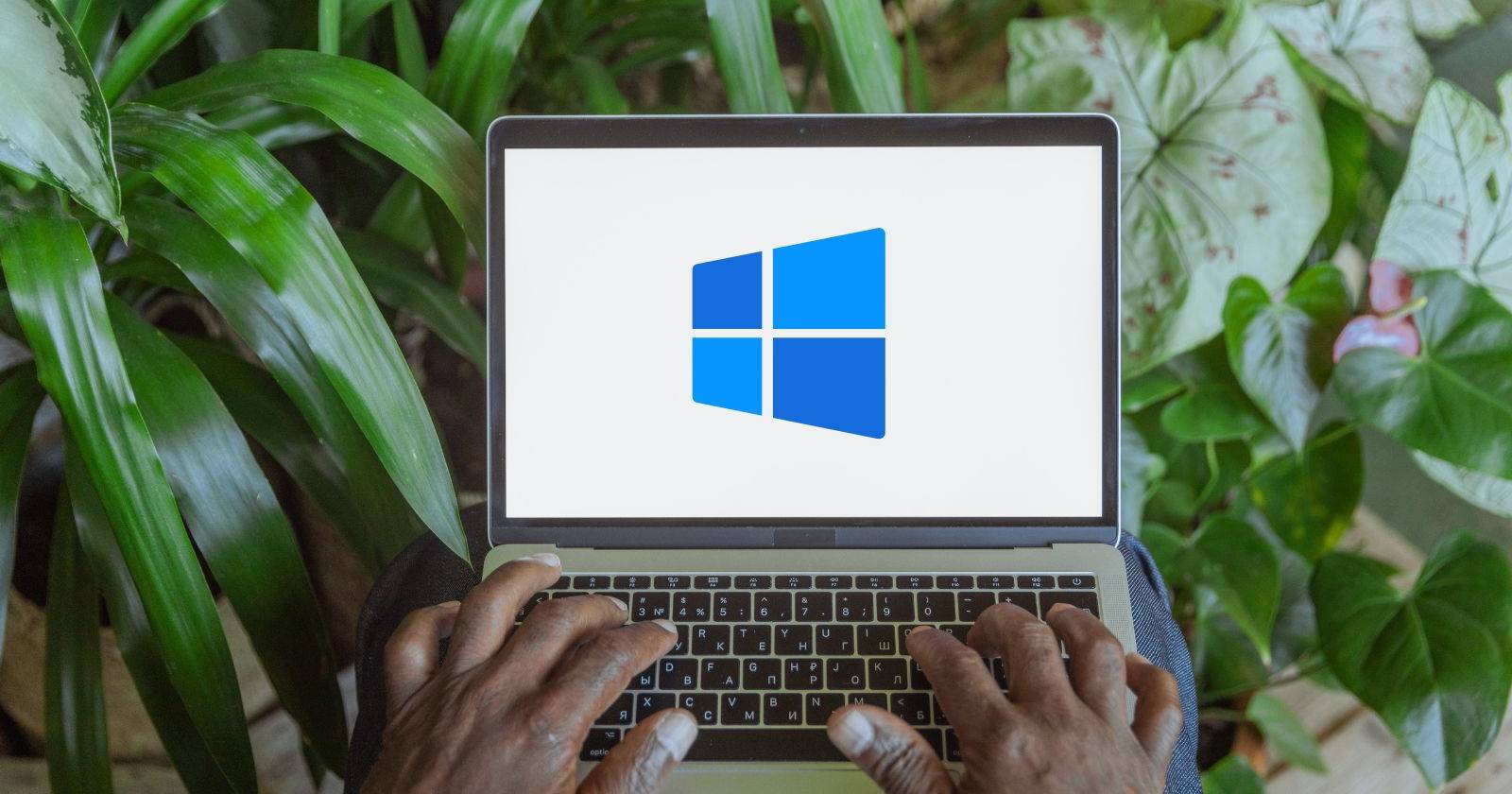 What Is the Microsoft Basic Display Adapter and How Do You Install it?