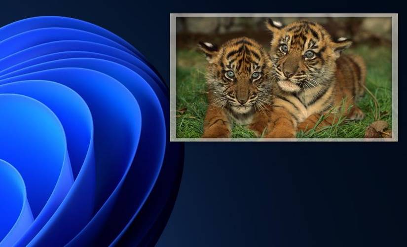 How to Add an Overlapping Photo to Windows 11’s Desktop Wallpaper