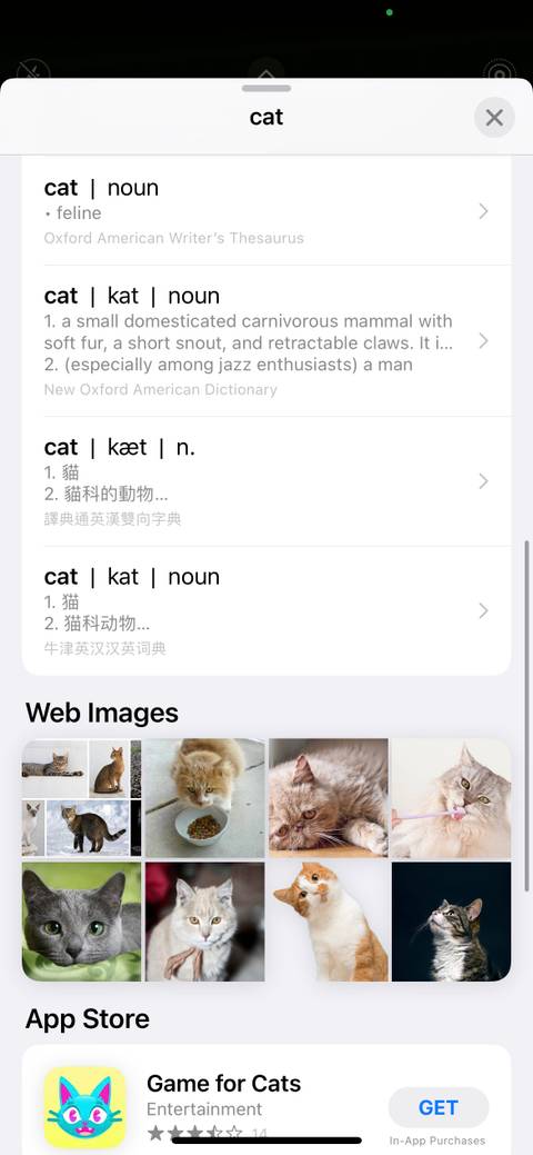9 Handy Ways to Use the Text Scanner on Your iPhone