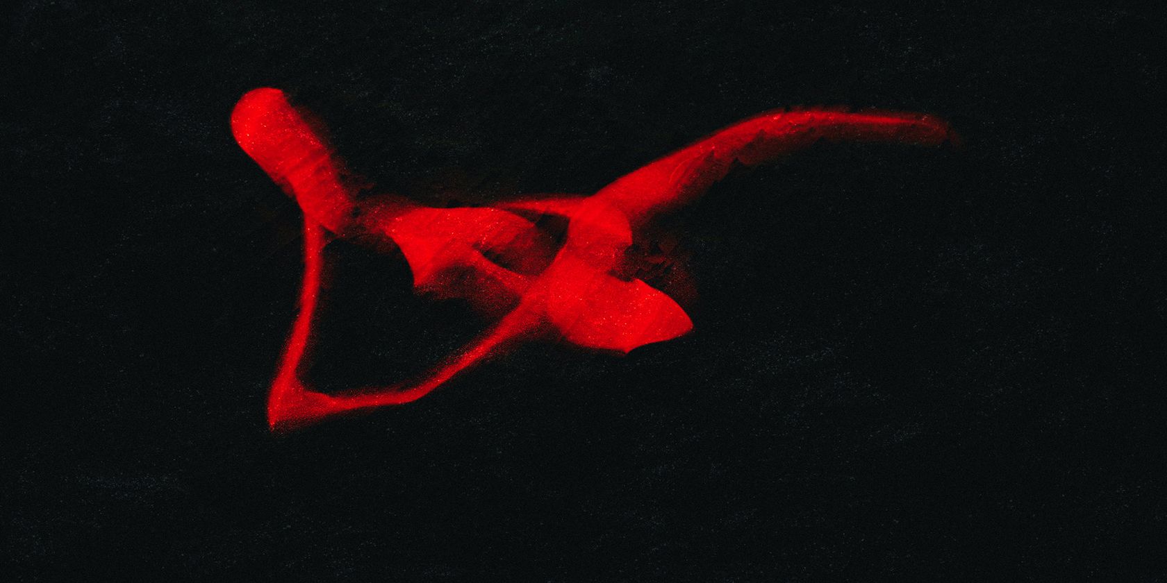 Abstract Photios How to Get Started With Abstract Photography: 5 Helpful Tips