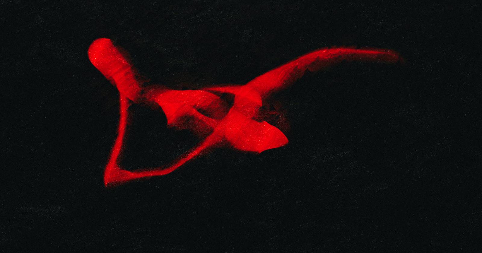 How to Get Started With Abstract Photography: 5 Helpful Tips