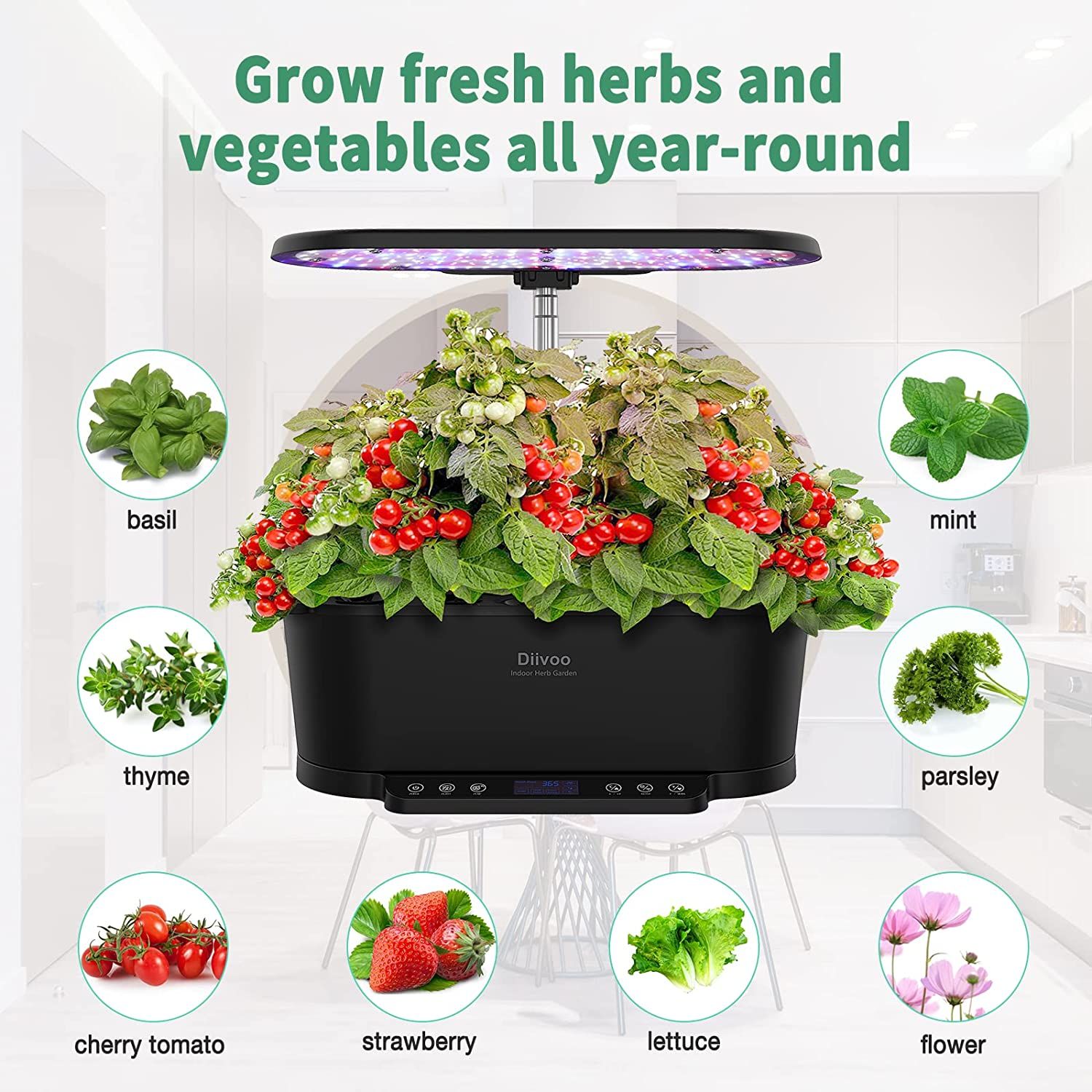 Diivoo Smart Indoor Garden herbs