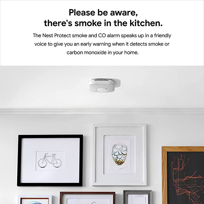 دود Google Nest