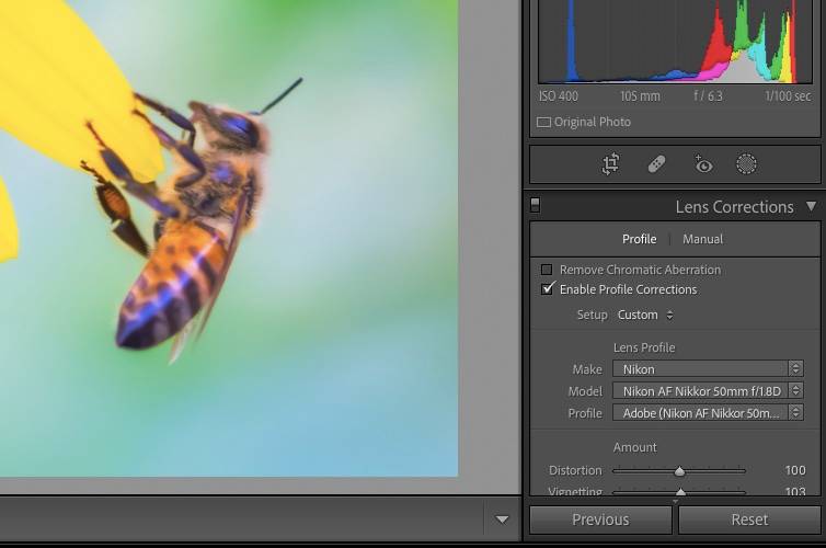 Lens Correction Photo Example What Is Lens Distortion in Photography? How to Avoid or Fix It