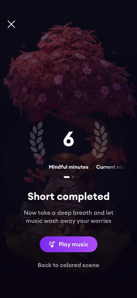 Loona Sleep How Loóna Helps You Color Your Way to Serenity for Better Sleep