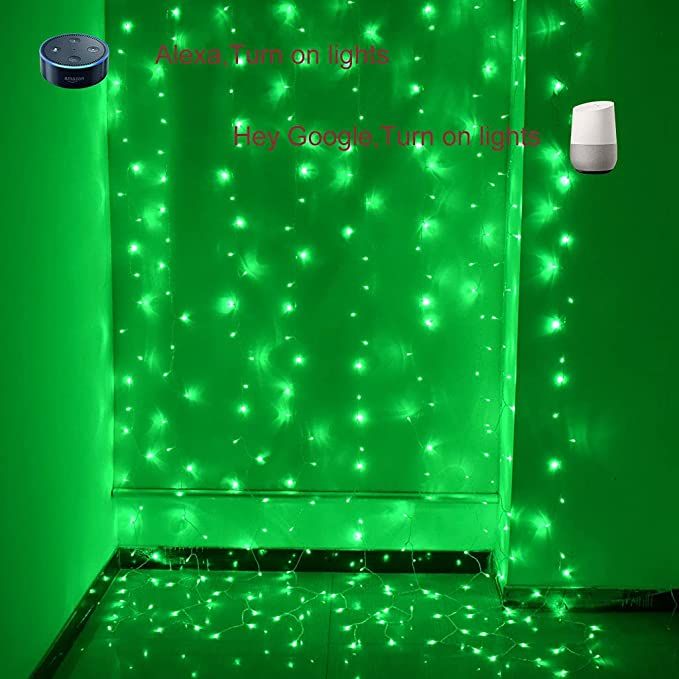 VasgaryLight voice control