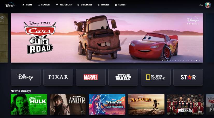 Disneynet The 14 Best Netflix Alternatives (Free and Paid)