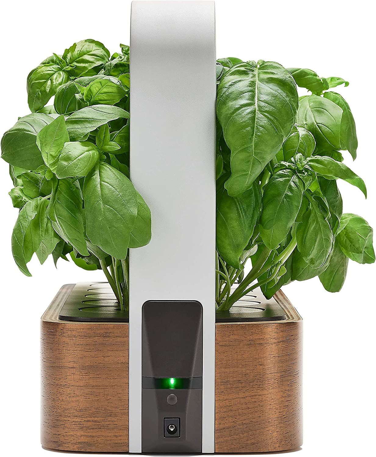 edn SmallGarden indicator