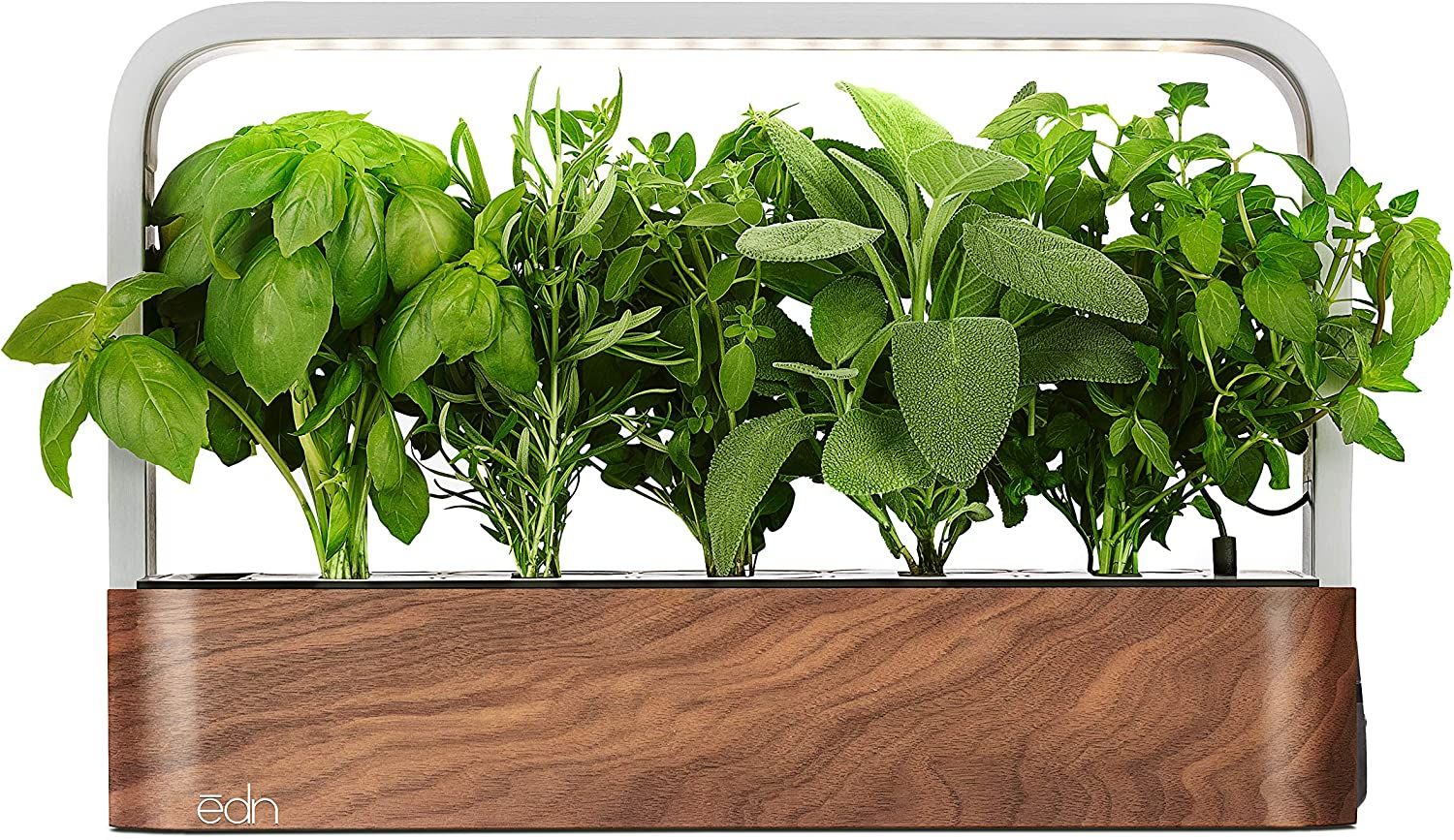 edn SmallGarden