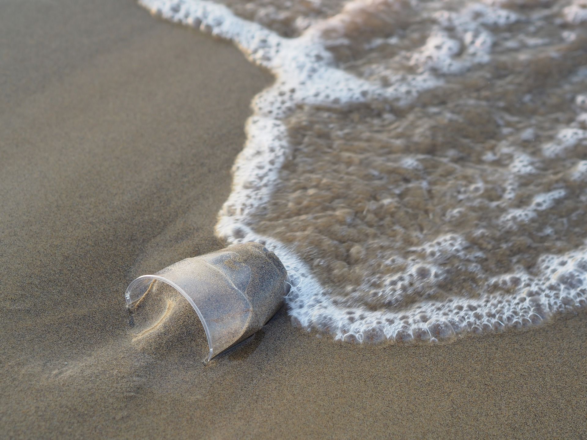 An ocean wave touches a disposable plastic cup is half submerged in sand.