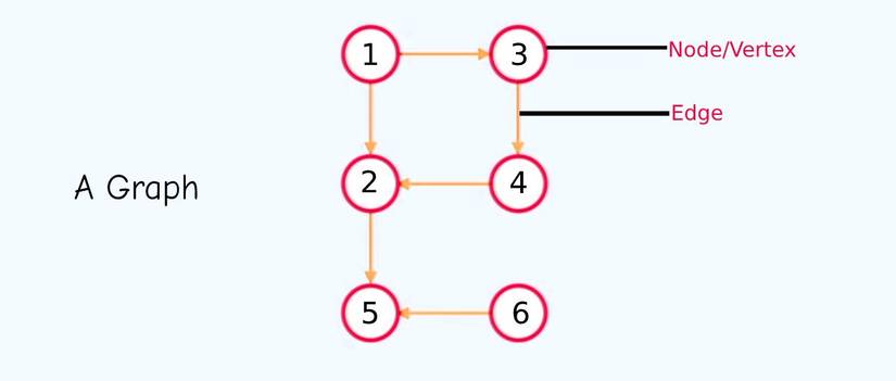 Graph Details A Guide to the Graph Data Structure