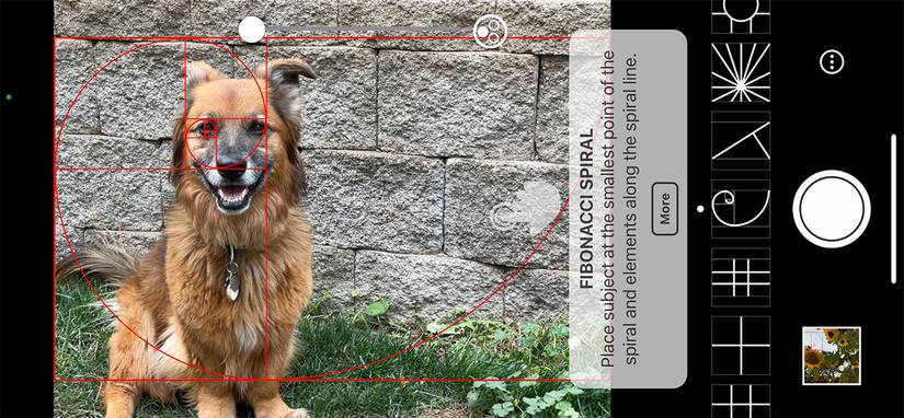 What Is the Golden Ratio in Photography?