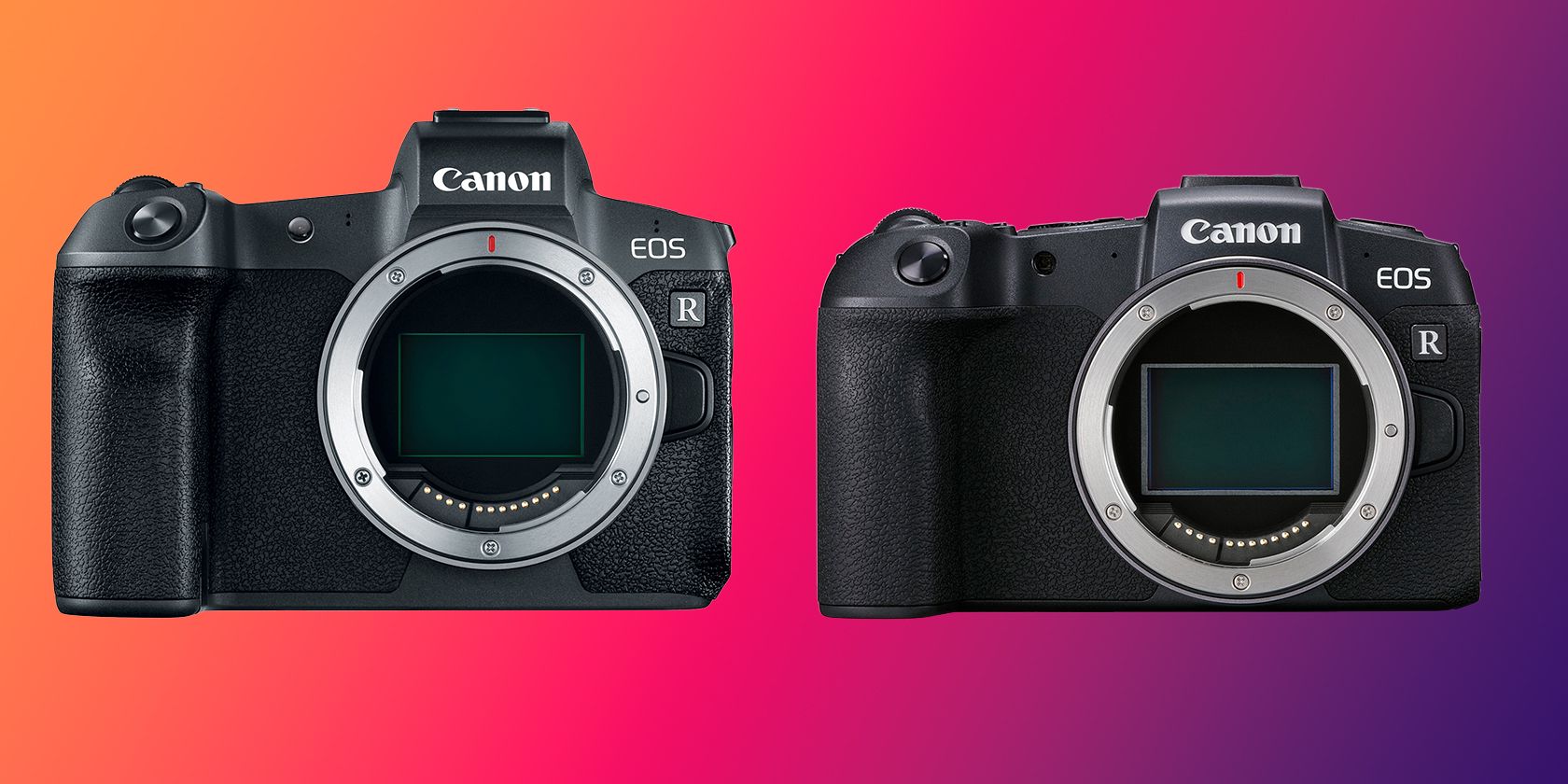 Canon R5 vs. R6: What Are the Differences and Which Is Better?