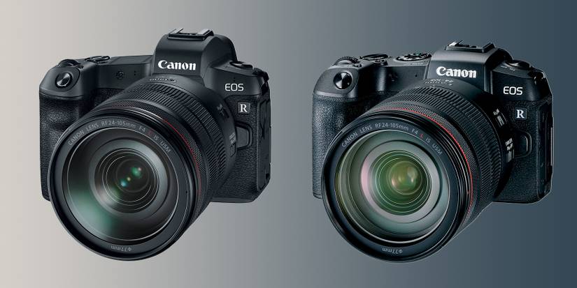 The Canon EOS R vs. RP: Which Is Better?