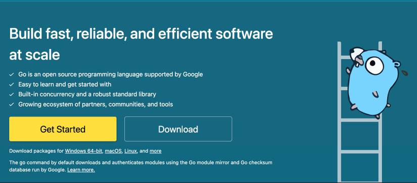 Go Generally Available Everything You Need to Know to Start Writing Go