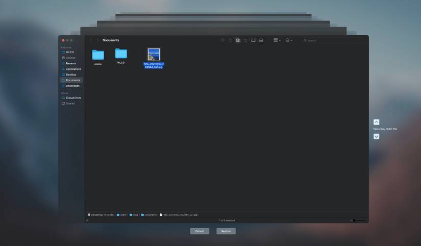 Time Machine Restore Option