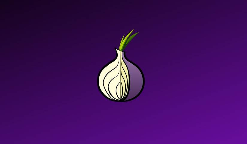 Tor logo seen on dark purple background