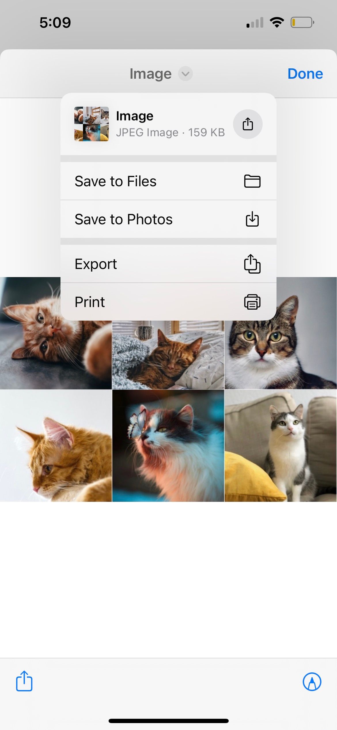 How to Make a Photo Collage on iPhone