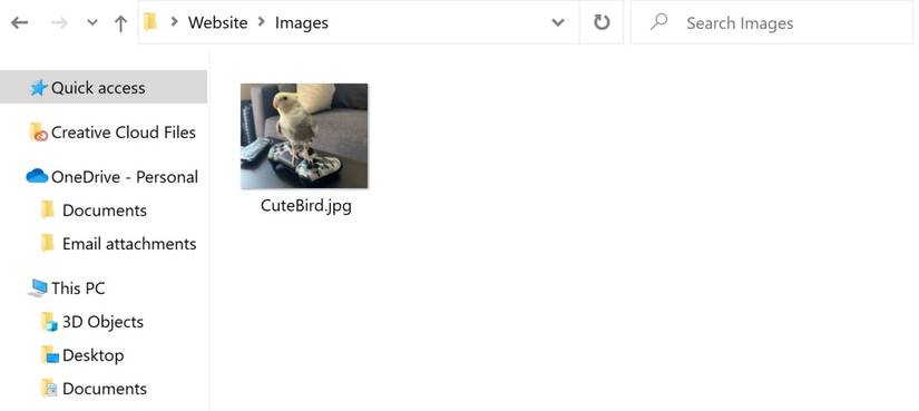 New photo of bird stored in the file manager