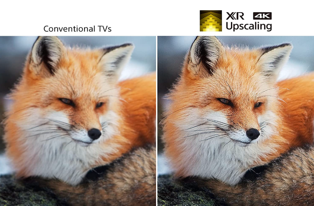 A shot of a fox comparing the Sony Bravia A80J OLED 65-Inch TV's upscaling