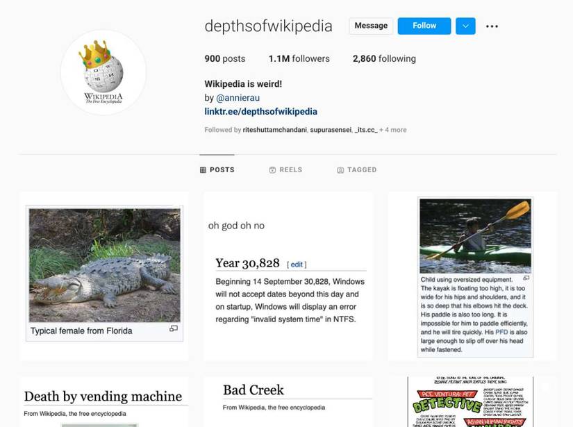 5 Hidden Gems Curators to Discover Weird and Wacky Things Online