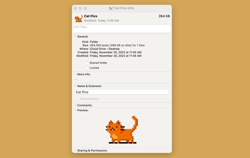 Screenshot of changing desktop icon to pixel cat