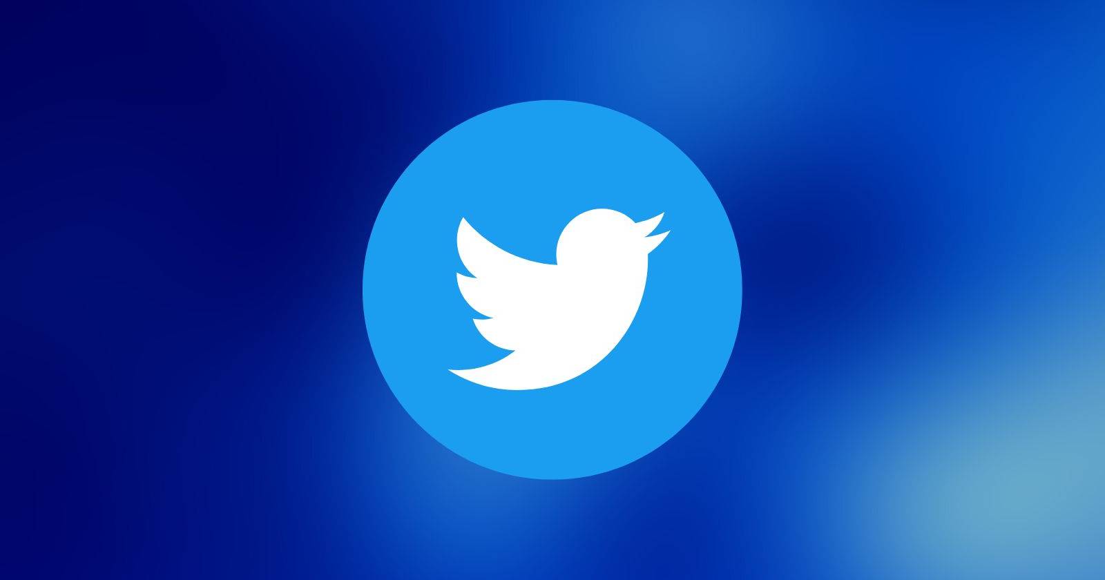 Twitter Using Who Who Should Run Twitter Once Elon Musk Steps Down?