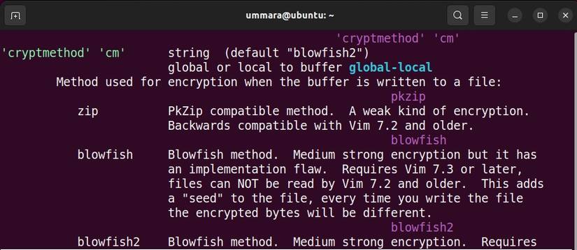 How to Use Vim to Encrypt Text Files on Linux