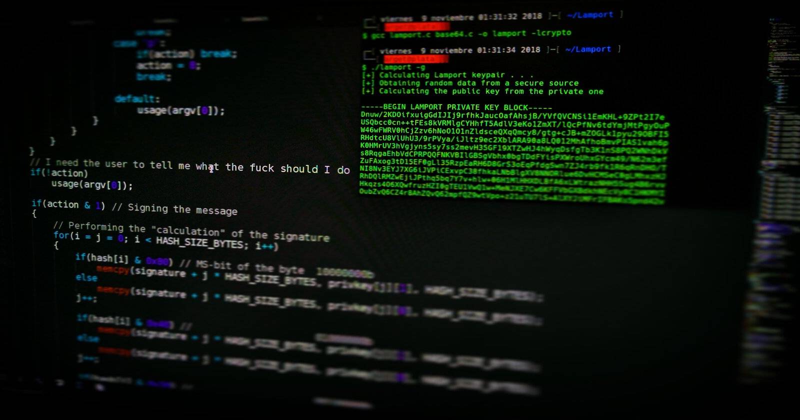 What Is an OS Command Injection?