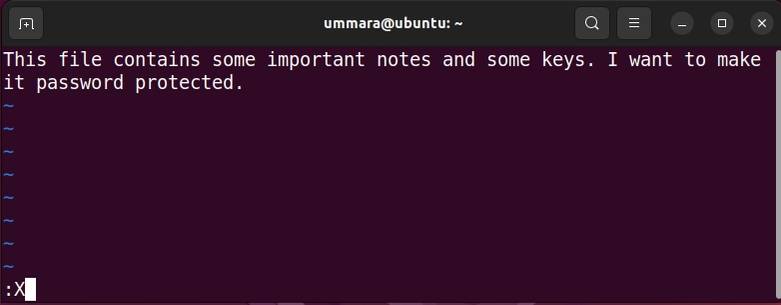 How to Use Vim to Encrypt Text Files on Linux