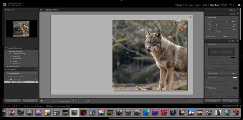 How to Make a Slideshow of Your Pictures in Lightroom