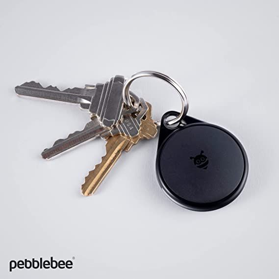 PebbleBee on keys-1