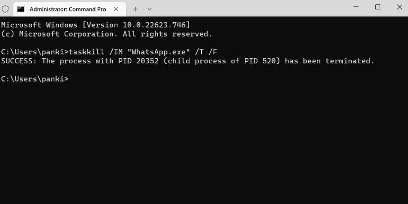 Taskkill.exe Error How to Fix or Bypass the