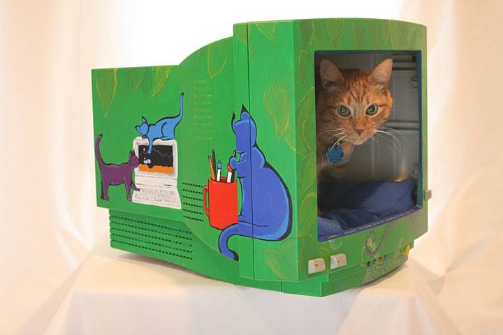 Cat Computer Monitor These 9 DIY Projects Are Perfect for Any Cat Lover