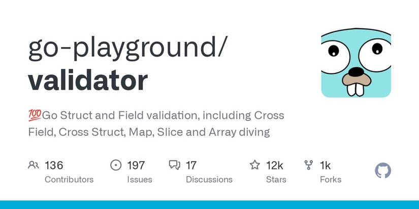 Validating Go Structs Using Govalidator
