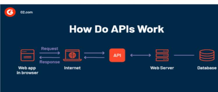 Api W 7 Best Practices to Name Your API Endpoints