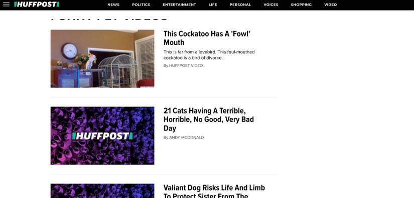 The 8 Best Websites to Watch Funny Pet Videos