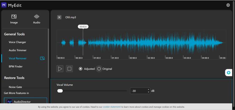 The 5 Best Online Vocal Removers