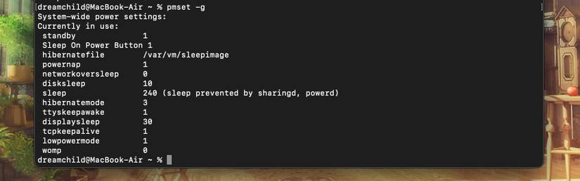 10 Things You Can Do With Power Management Commands in Terminal