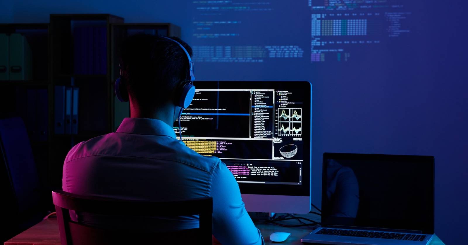 a software developer working on a computer system.