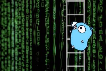 The golang mascot, a blue gopher with large eyes, in front of columns of random green symbols.