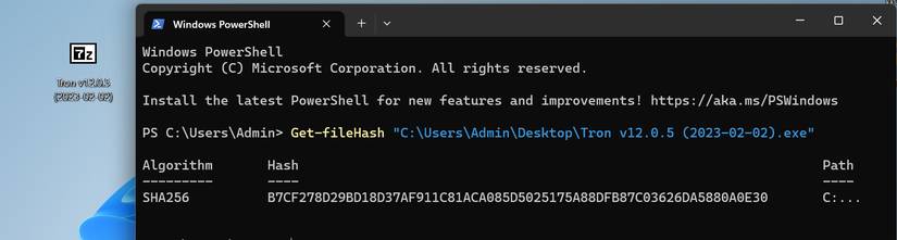 Make Your Old Windows PC Usable Again With Tron Script